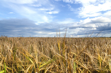 Similar image 22231178