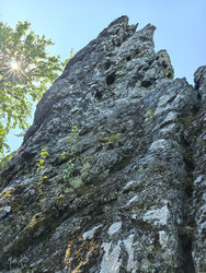 Similar image 22231183