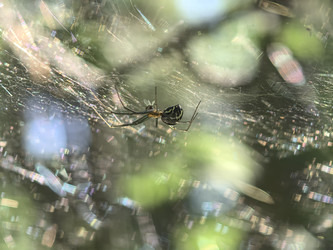 Similar image 22231187