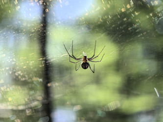 Similar image 22231311