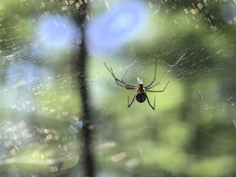 Similar image 22231188