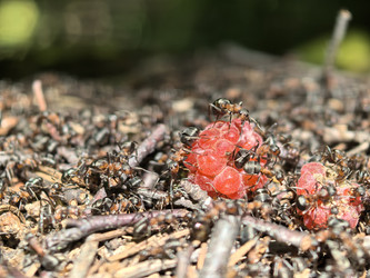 Similar image 22231189