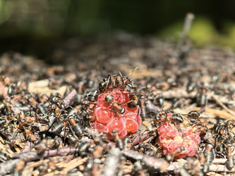 Similar image 22231190