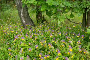 Similar image 22231472