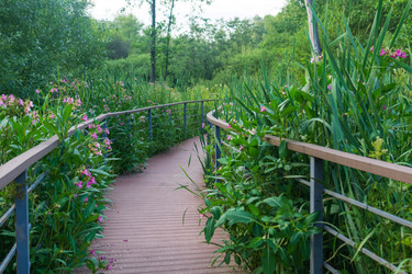 Similar image 22231476