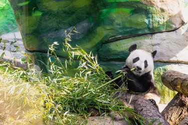 Similar image 22231478