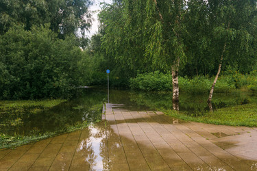 Similar image 22231484