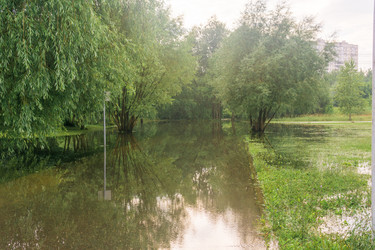 Similar image 22231485