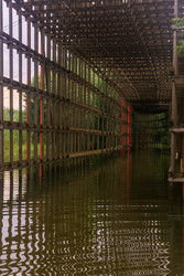 Similar image 22231486