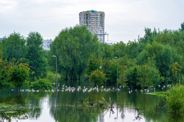 Similar image 22231488