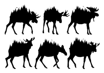 Similar image 22231196