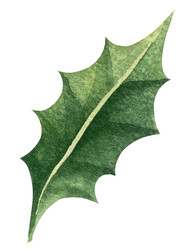 Similar image 22231210