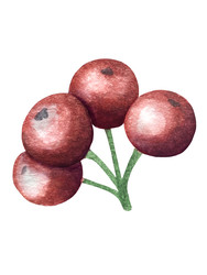 Similar image 22231211