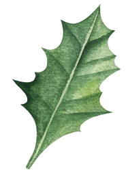 Similar image 22231214