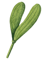 Similar image 22231216