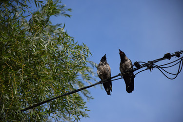 Similar image 22231492