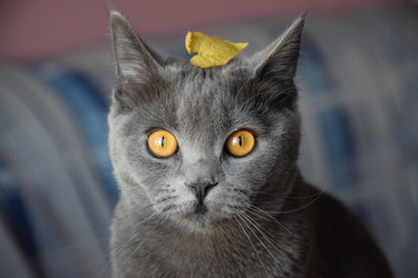 Similar image 22231494