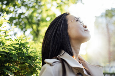 Similar image 22232561