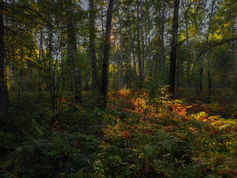 Similar image 22231519