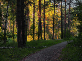 Similar image 22231520