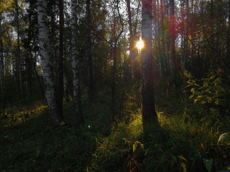 Similar image 22231521