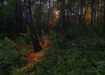 Similar image 22231522