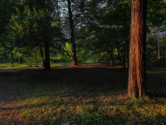 Similar image 22231523