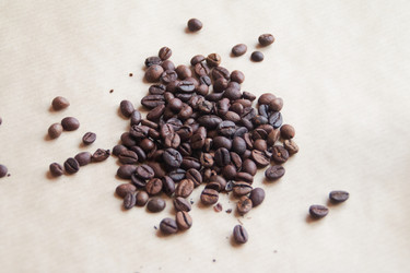 Similar image 22231535