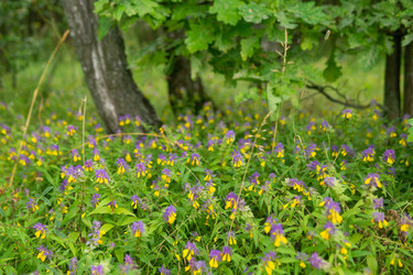 Similar image 22233148