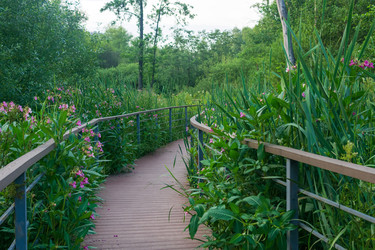 Similar image 22233151