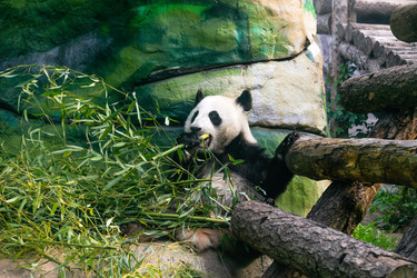 Similar image 22233153