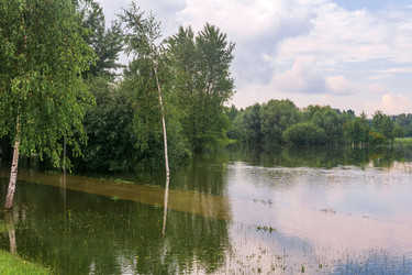 Similar image 22233155