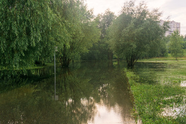 Similar image 22233156