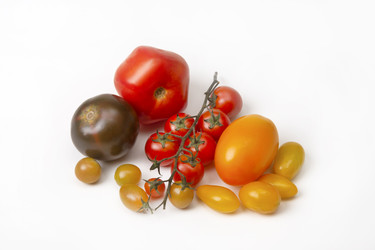 Similar image 22231544