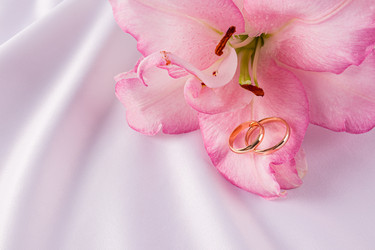 Similar image 22231547