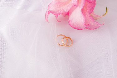 Similar image 22231548