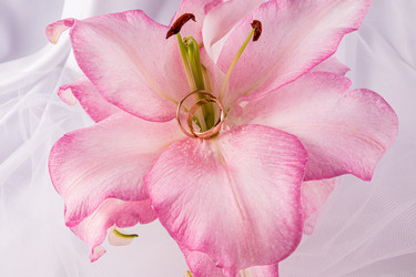 Similar image 22231549