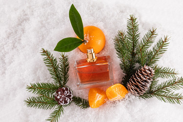 Similar image 22231550