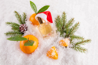 Similar image 22231553