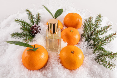 Similar image 22231554