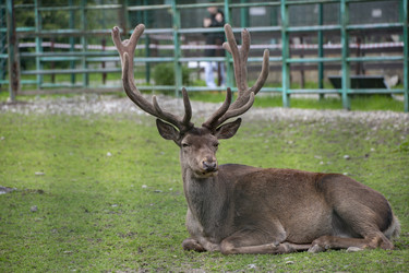 Similar image 22231563