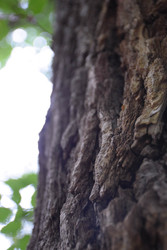 Similar image 22233124