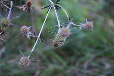 Similar image 22233125