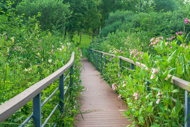 Similar image 22233187