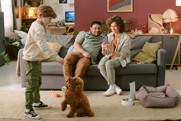 Similar image 22215981