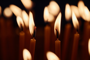 Similar image 22213242