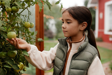 Similar image 22212813