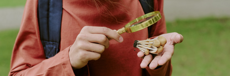 Similar image 22216954