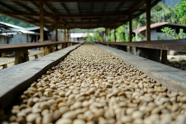 Similar image 22220968