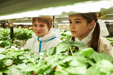 Similar image 22219078